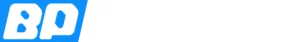 logo footerDX